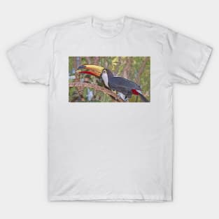 Tucan T-Shirt